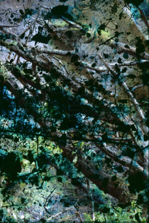 Série Dérives. 50x75 cm. Photographie d'après diapositive et film peint.