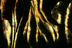 Série Dérives. 50x75 cm. Photographie d'après diapositive et film peint.