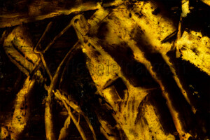 Série Dérives. 50x75 cm. Photographie d'après film peint.