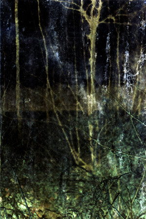 Série From a collection. 50x75 cm. Photographie d'après négatif n&b.