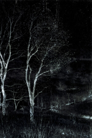 Série From a collection. 50x75 cm. Photographie d'après négatif n&b.