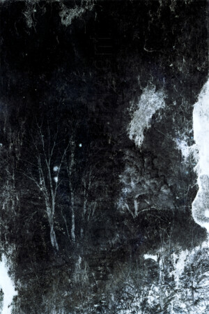 Série From a collection. 50x75 cm. Photographie d'après négatif n&b.