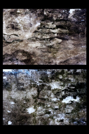 Série From a collection. 50x75 cm. Photographies d'après négatif n&b.