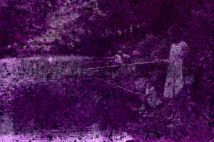 Série From a collection. 50x75 cm. Photographie d'après diapositive et film peint.