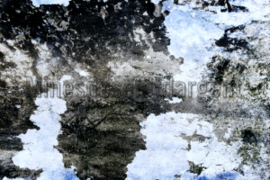 Série From a collection. 50x75 cm. Photographie d'après négatif n&b.