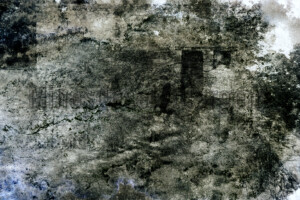 Série From a collection. 50x75 cm. Photographie d'après négatif n&b.