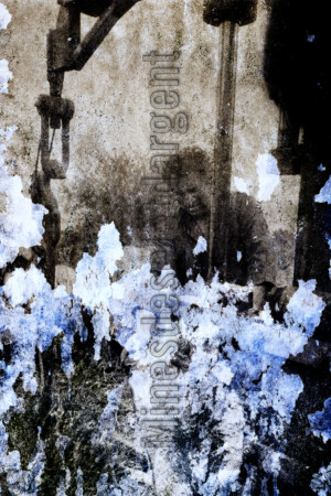 Série From a collection. 50x75 cm. Photographie d'après négatif n&b.