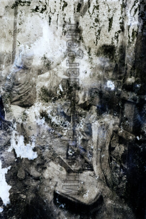 Série From a collection. 50x75 cm. Photographie d'après négatif n&b.