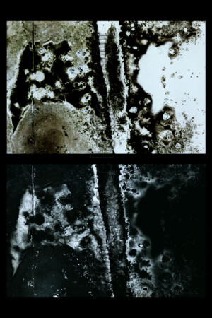 Série From a collection. 50x75 cm. Photographies d'après négatif n&b.