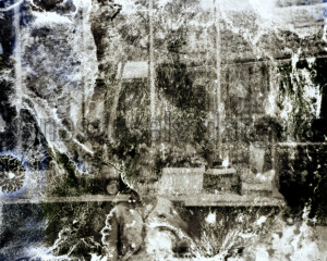 Série From a collection. 40x50 cm. Photographie d'après négatif n&b.