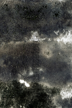 Série From a collection. 50x75 cm. Photographie d'après négatif n&b.