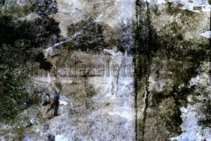 Série From a collection. 50x75 cm. Photographie d'après négatif n&b.