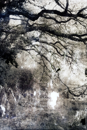 Série From a collection. 50x75 cm. Photographie d'après négatif n&b.