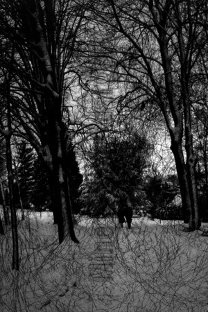 Série From a collection. 50x75 cm. Photographie d'après diapositive et film peint.