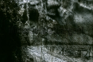 Série From a collection. 50x75 cm. Photographie d'après négatif n&b et diapositive.