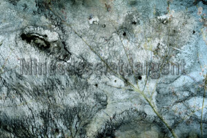 Série From a collection. 50x75 cm. Photographie d'après négatif n&b.