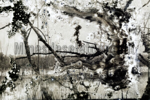 Série From a collection. 50x75 cm. Photographie d'après négatif n&b.