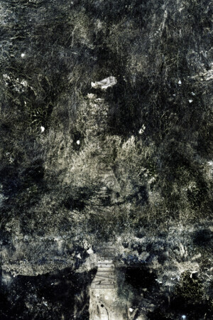 Série From a collection. 50x75 cm. Photographie d'après négatif n&b.