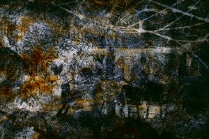 Série From a collection. Photographie d'après négatif n&b.