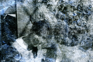 Série From a collection. Photographie d'après négatif n&b.