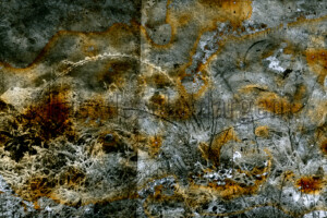 Série From a collection. Photographie d'après négatif n&b.