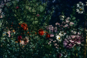 Série From a collection. Photographie d'après diapositive et film peint.