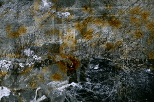 Série From a collection. Photographie d'après négatif n&b.