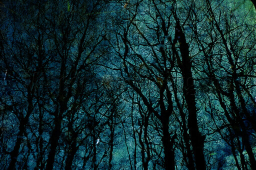 Série Paysages/Ruines. 40x60 cm. Photographies d'après diapositive & image peinte