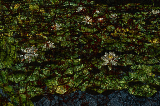 Série Reflets. 40x60 cm. Photographie d'après diapositive et image peinte.