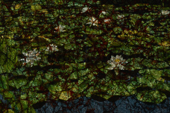 Série Reflets. 40x60 cm. Photographie d'après diapositive et image peinte.